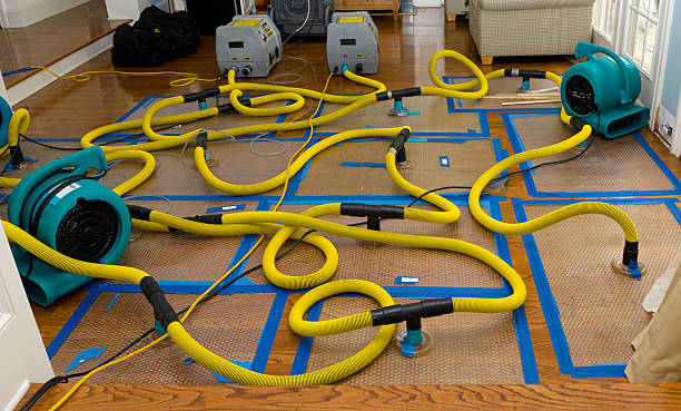 Professional Crawl Space Water Removal technician working in Leesburg, AL